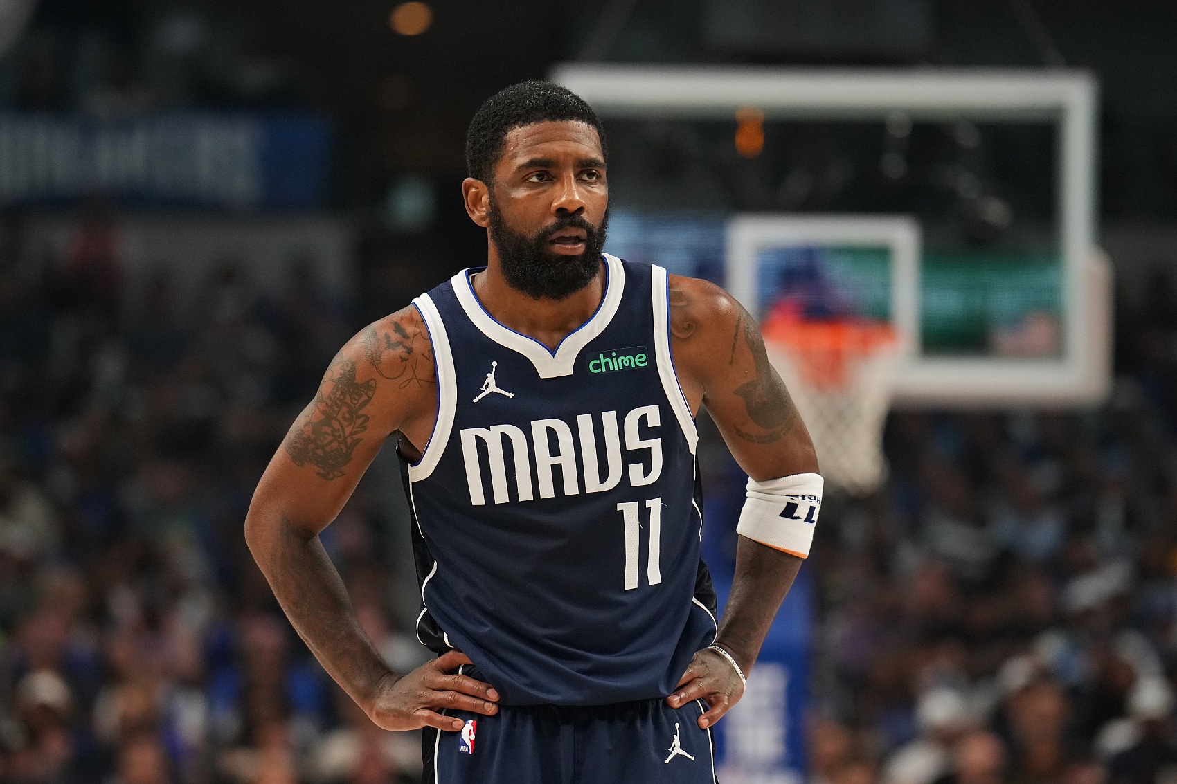 的历史长河 的历史长河