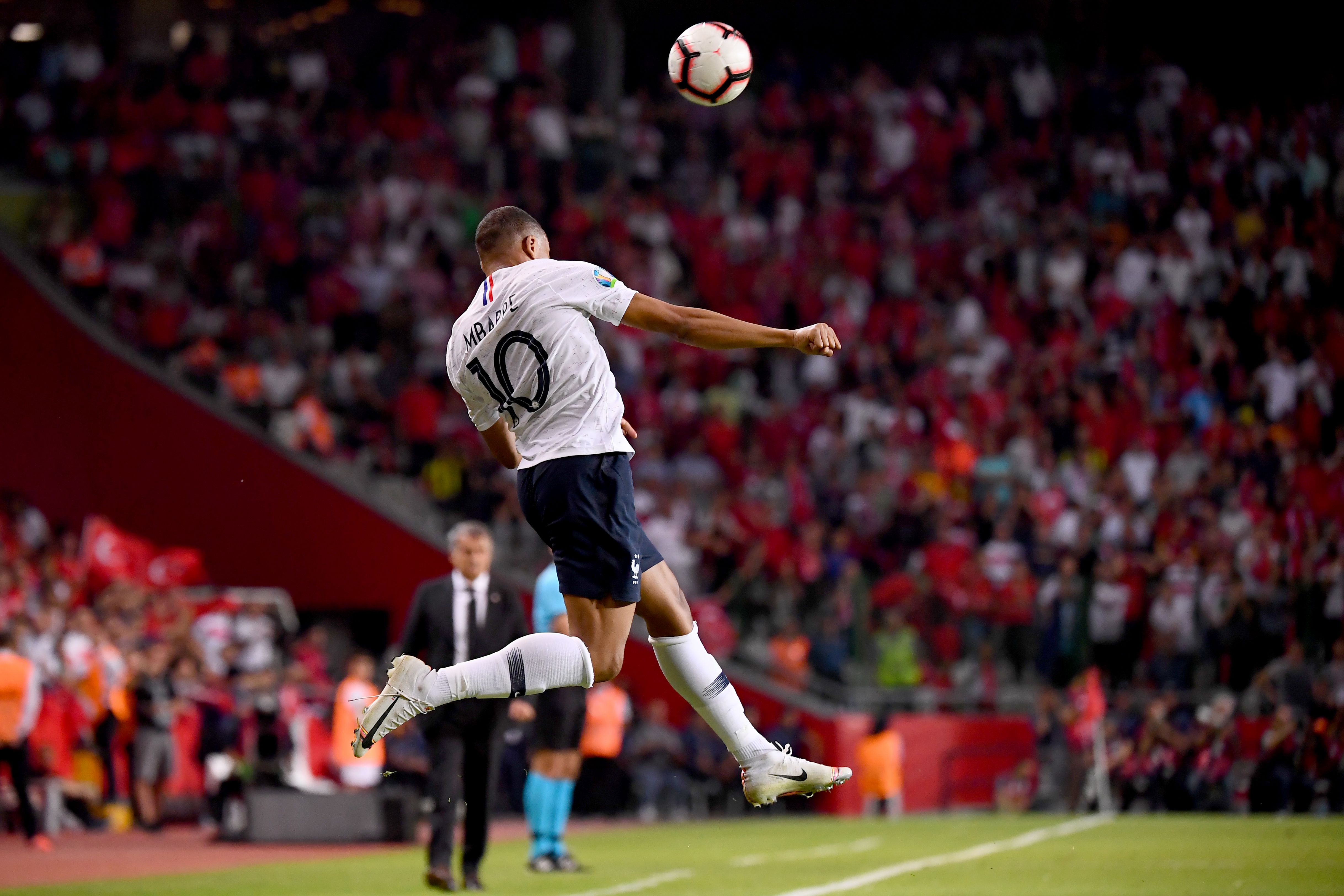 对于石斑鱼 对于石斑鱼