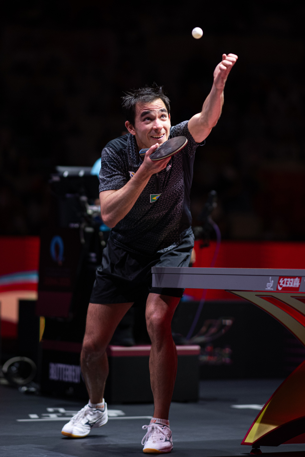 的专家团队 的专家团队